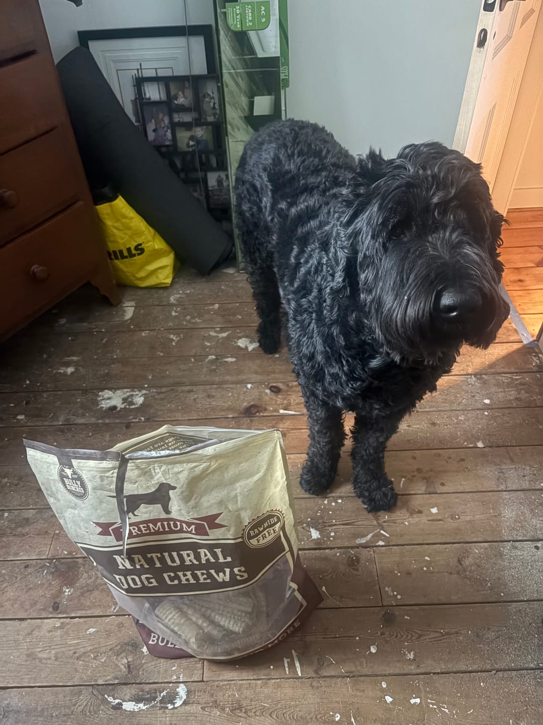 Customer photo review of 6 Inch Beef Trachea