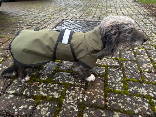 Customer photo review of 3-in-1 Dog Coat