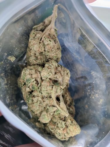 Customer photo review of NYC Diesel THCA Flower