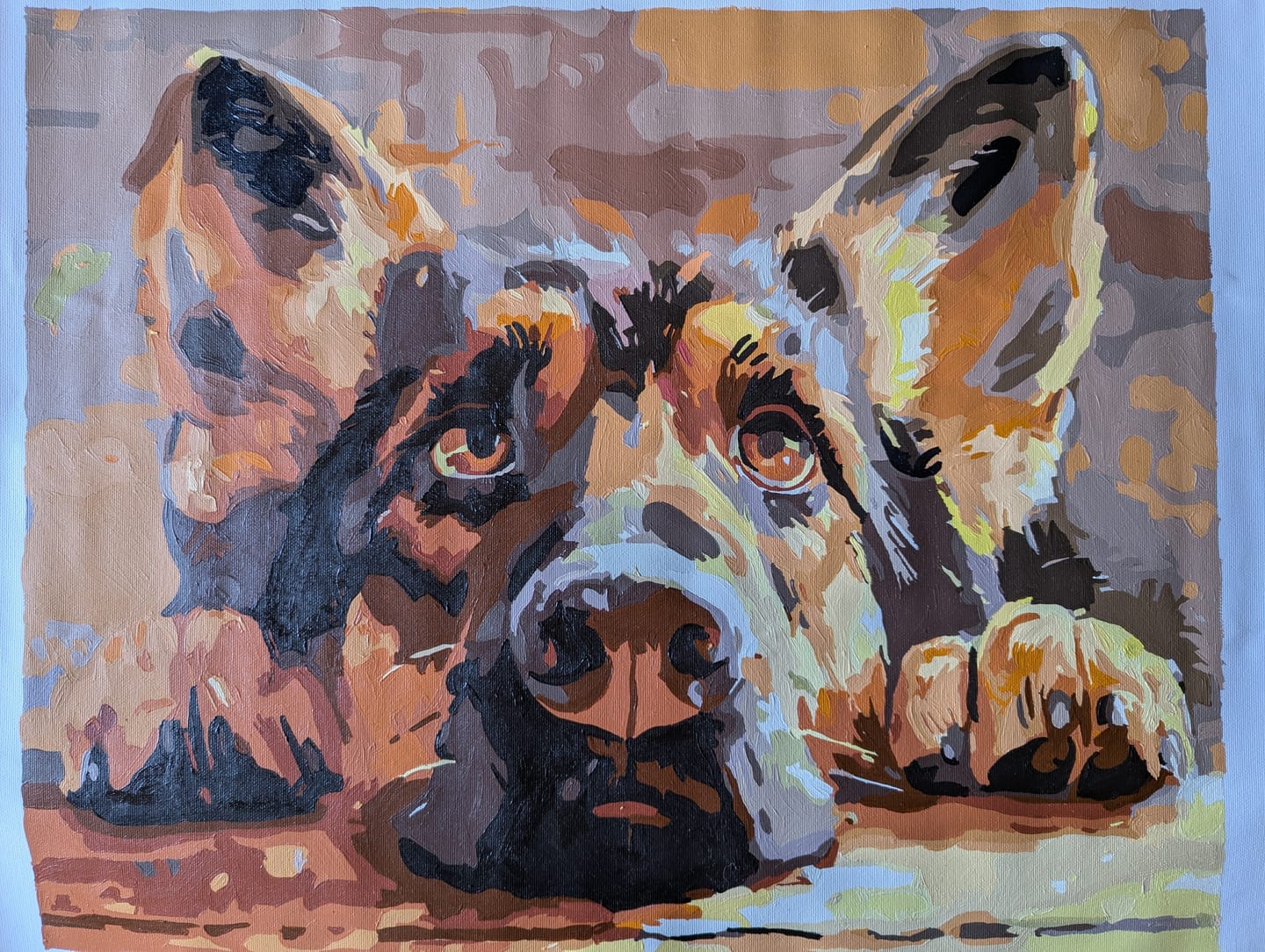 Customer photo review of Bored Shepherd