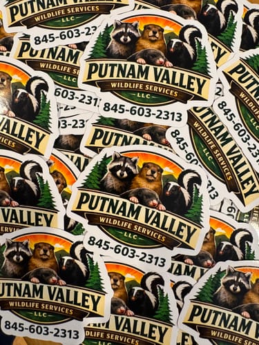 Customer photo review of 300 3.0" Custom Vinyl Stickers