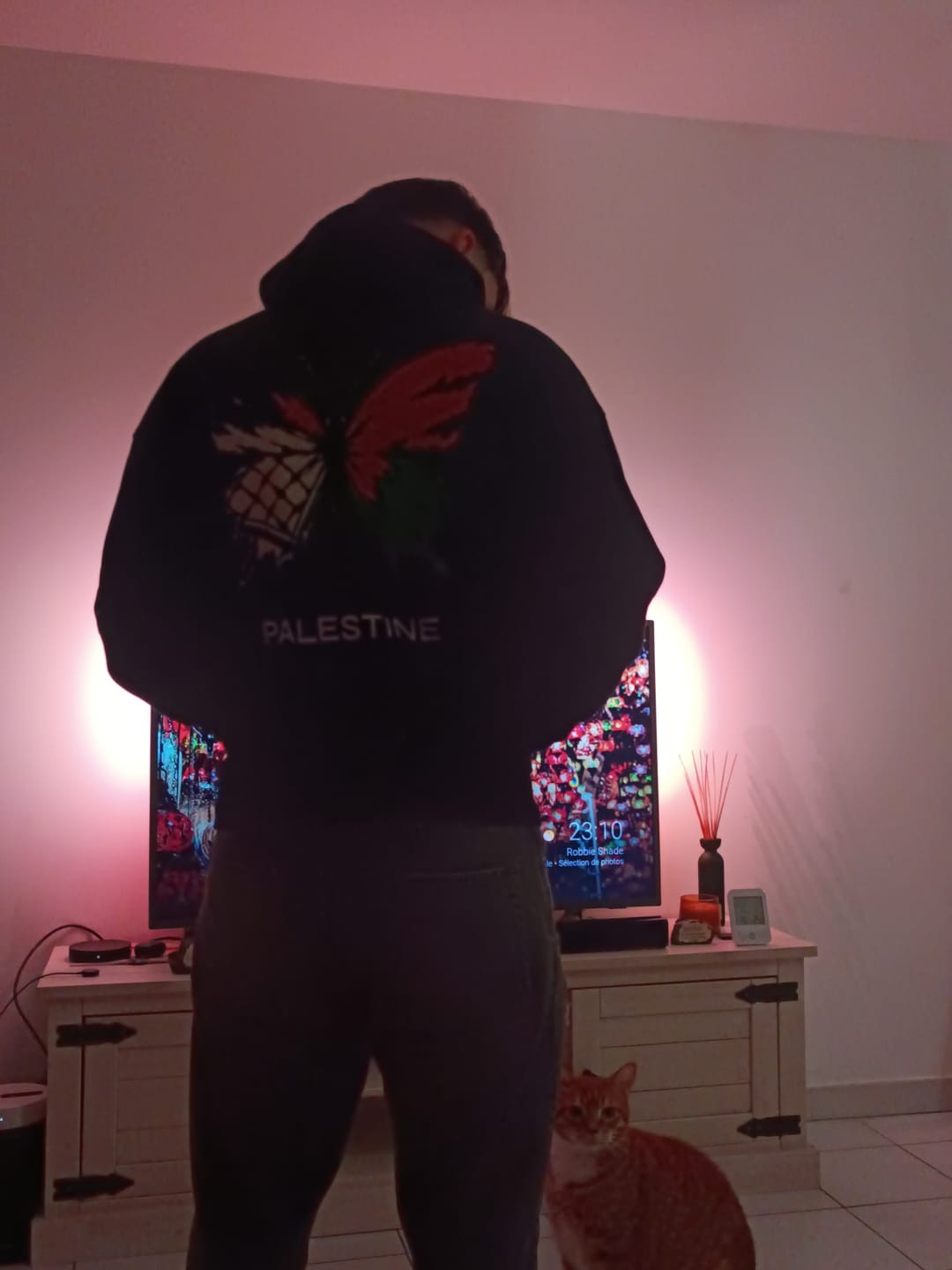 Customer photo review of PLSTN BUTTERFLY Oversized Hoodie