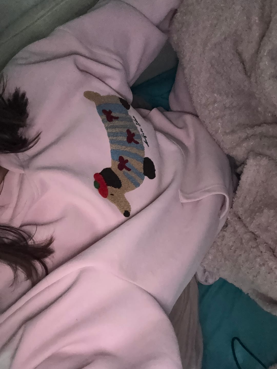 Customer photo review of Aelfric Eden Cartoon Dachshund Hoodie