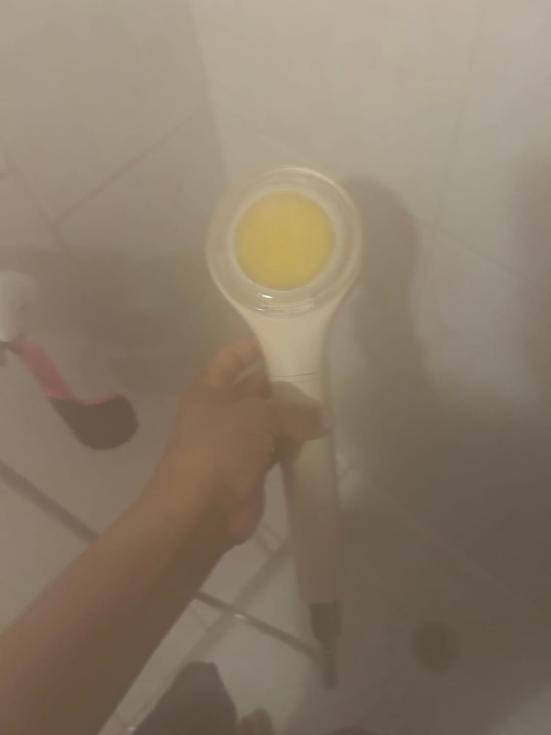 Customer photo review of SHOWERSILK | Filtre de douche