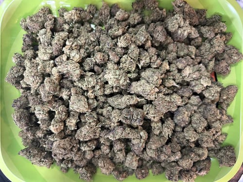 Customer photo review of Cheap THCA Flower Half Pound