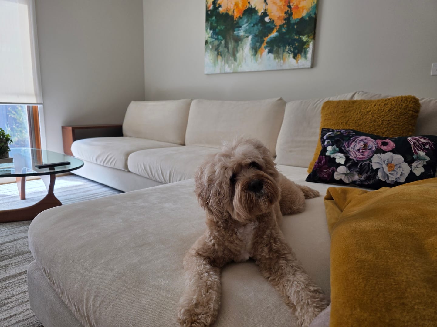 Customer photo review of Performance+ Couch Covers