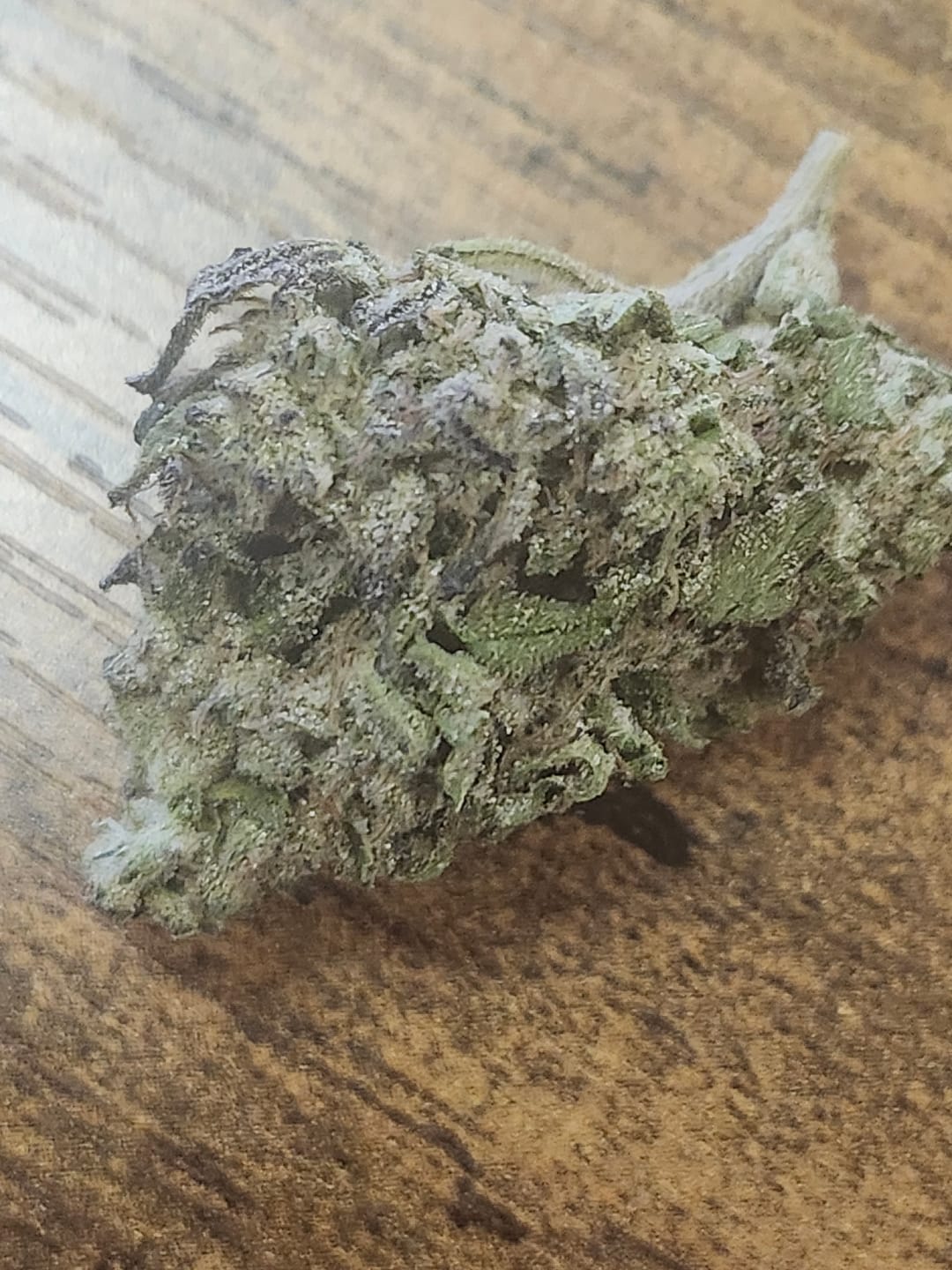 Customer photo review of Wedding Crasher THCA Flower LB