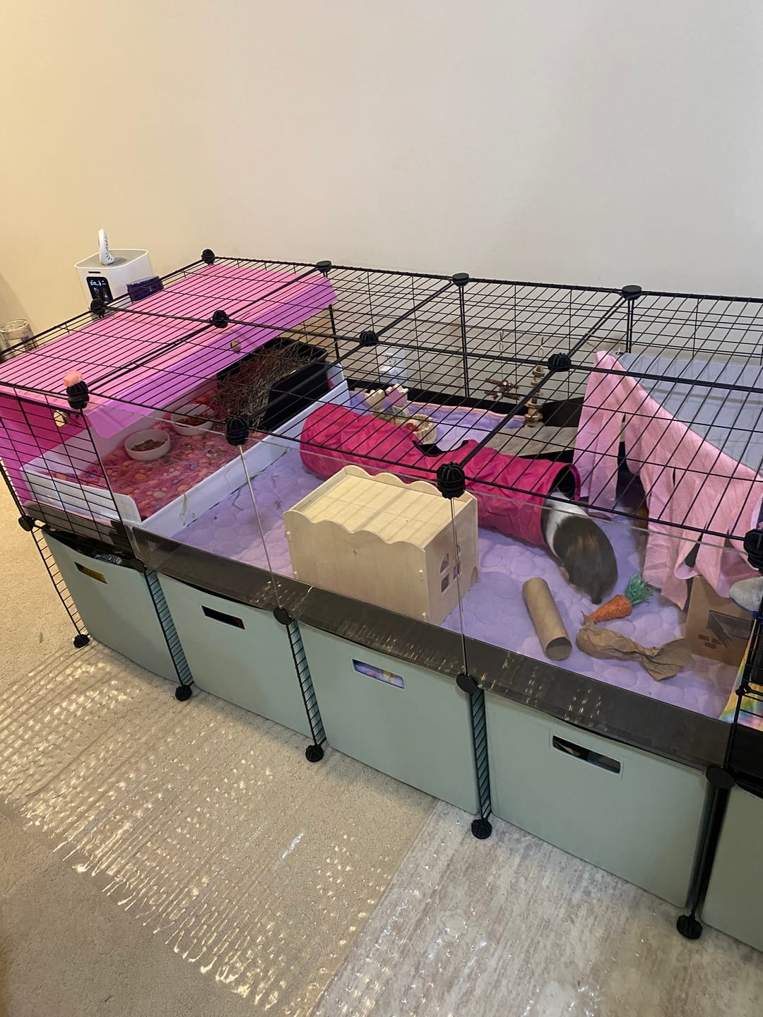 Customer photo review of Set of 2 Premium Fleece Liners Bundle | Rainbow