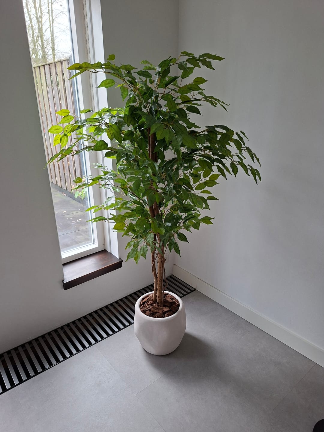 Customer photo review of Kunst Ficus 150cm