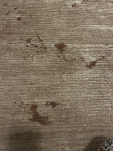 Customer photo review of Green Mitt Kit