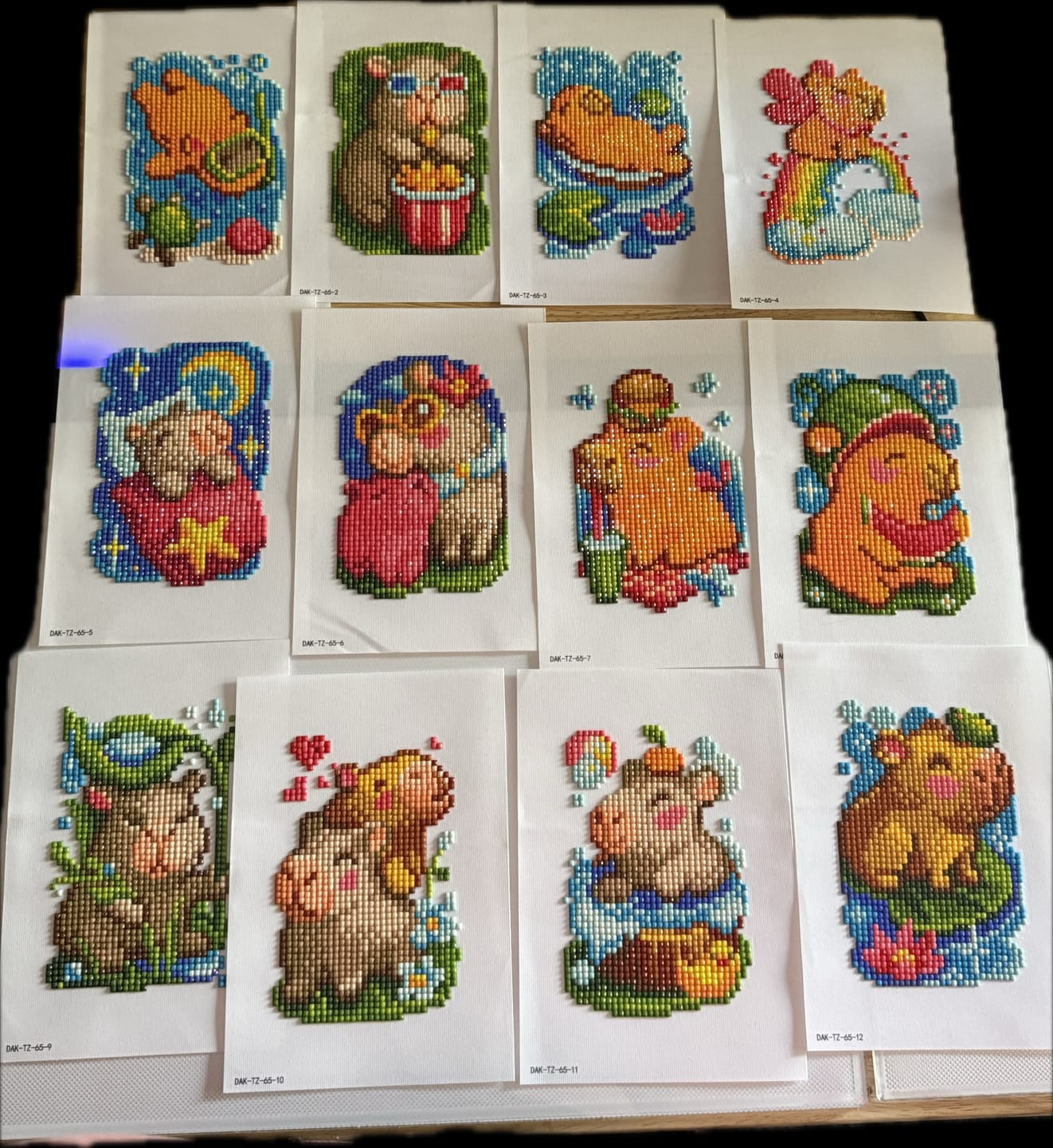 Customer photo review of Capybara Set
