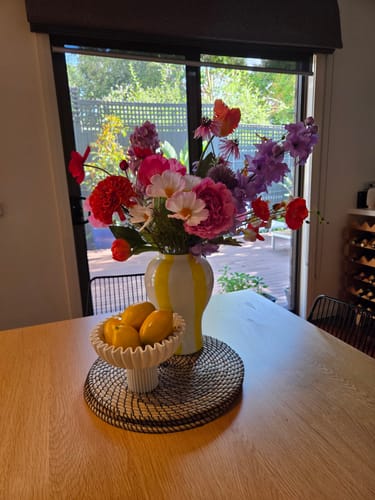 Customer photo review of Sonny