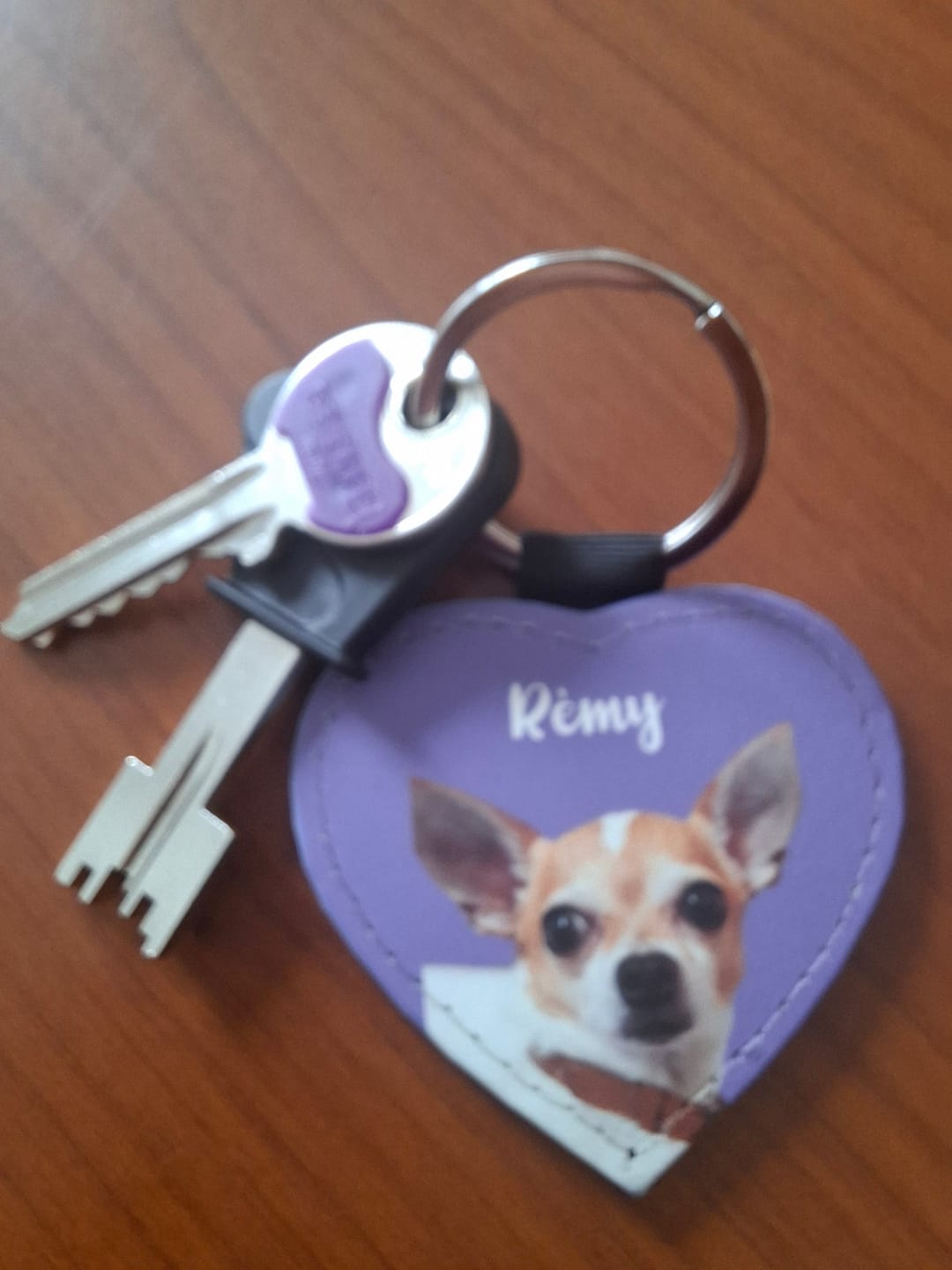 Customer photo review of Ritratto animale domestico - Portachiavi personalizzato