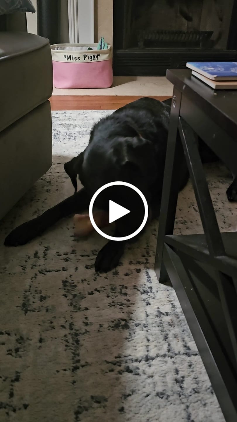 Customer video review of Large Dog Black Friday Bundle II (4x 5oz Jerky Bags + 4x LARGE Smoked Marrow Bones)