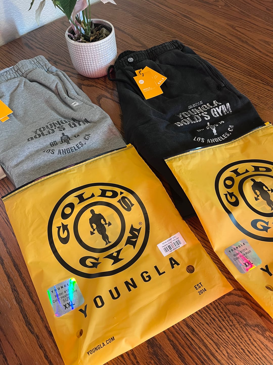 Customer photo review of 1014 - Gold's Iron Legacy Shorts