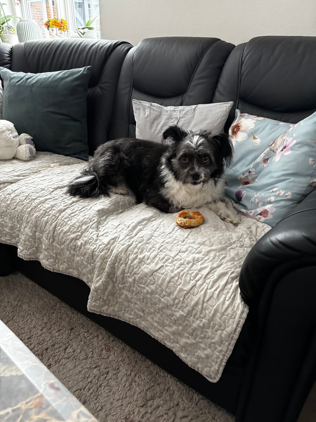 Customer photo review of Barkii - Kollagen Donuts m. Kylling