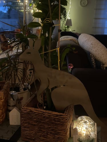 Customer photo review of Gartenstecker Känguru