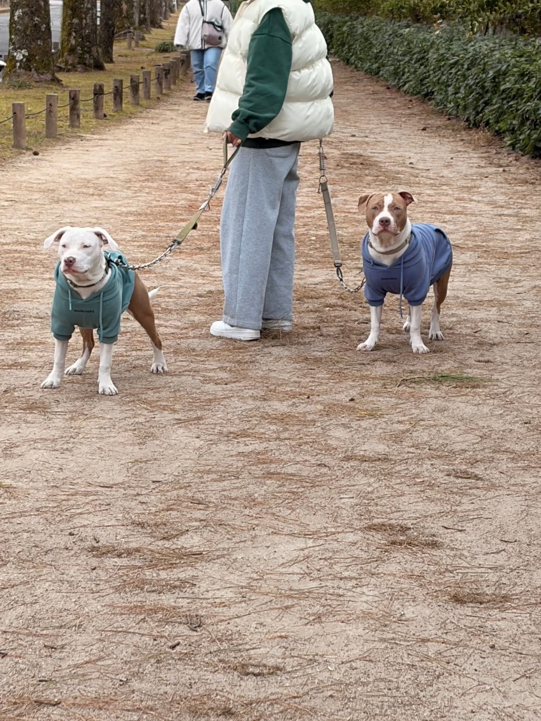 Customer photo review of Dog Pajama Prints