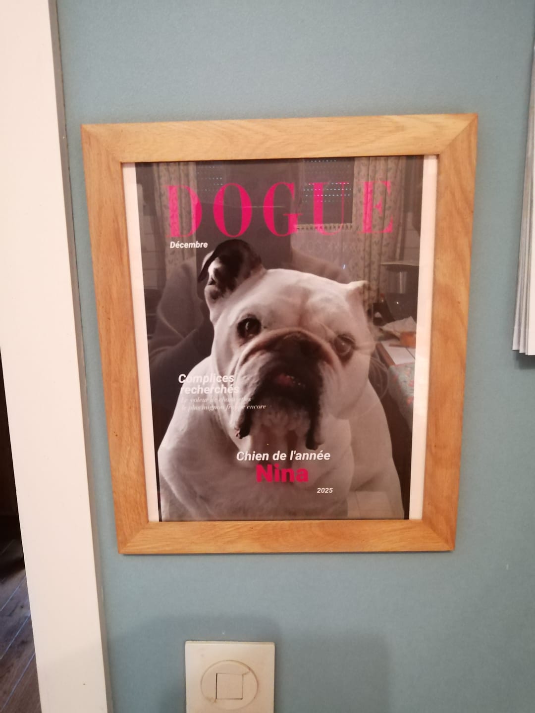 Customer photo review of Dogue - Poster personnalisé