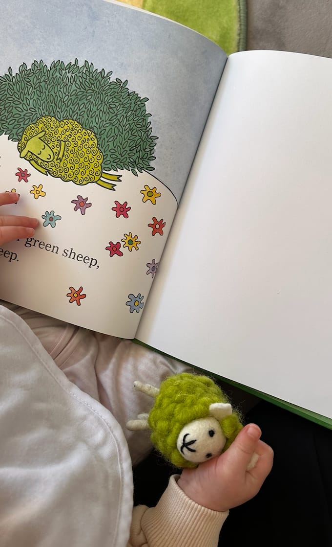 Customer photo review of Felt Green Sheep Toy