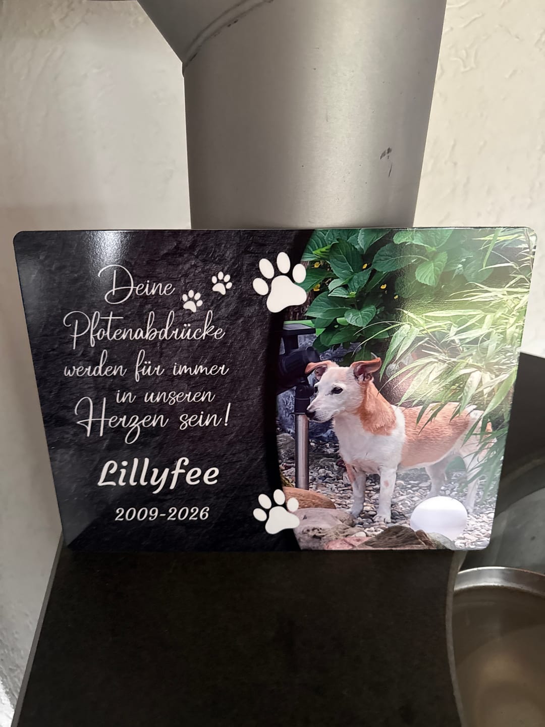 Customer photo review of Hunde Gedenktafel mit Foto & Spruch (UV- & Wetterfest)