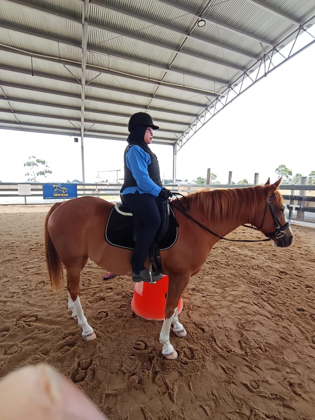 Customer photo review of PSOS Mesh Riding Gloves, Black