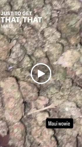 Customer video review of Maui Wowie - Bulk - Sativa