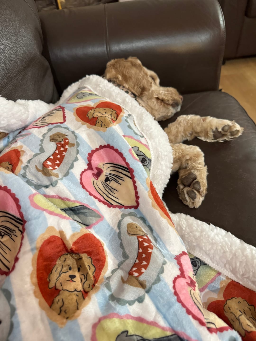 Customer photo review of Dog Blankie - My Fur Ever Love