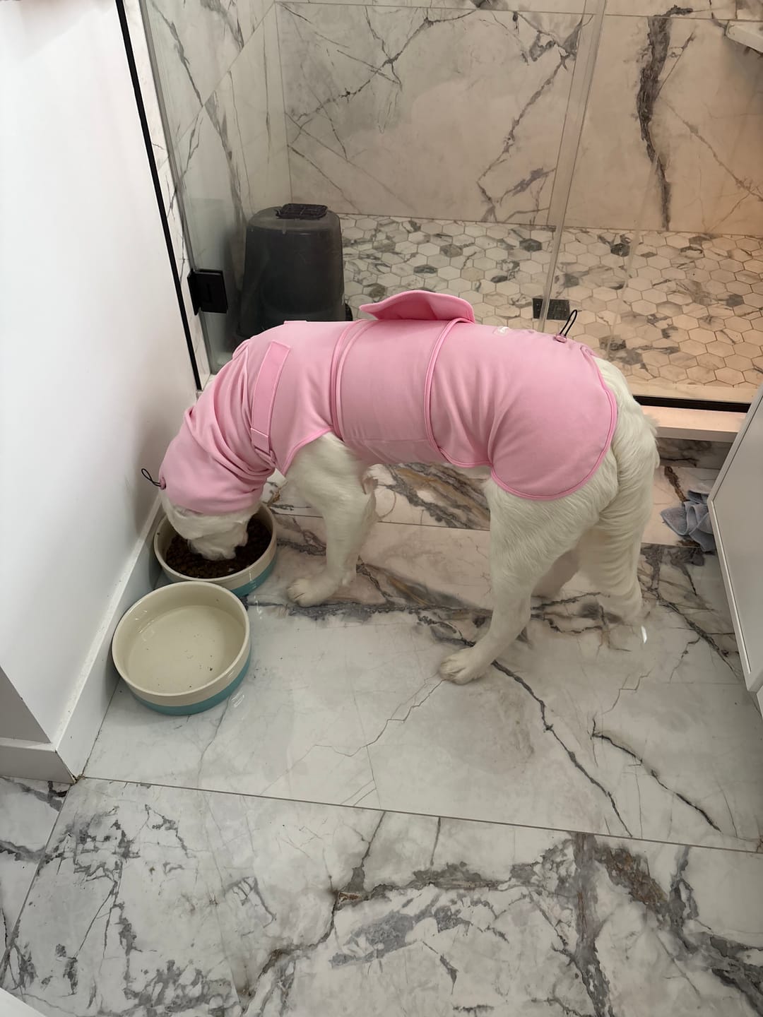 Customer photo review of Anxiety Calming Suit