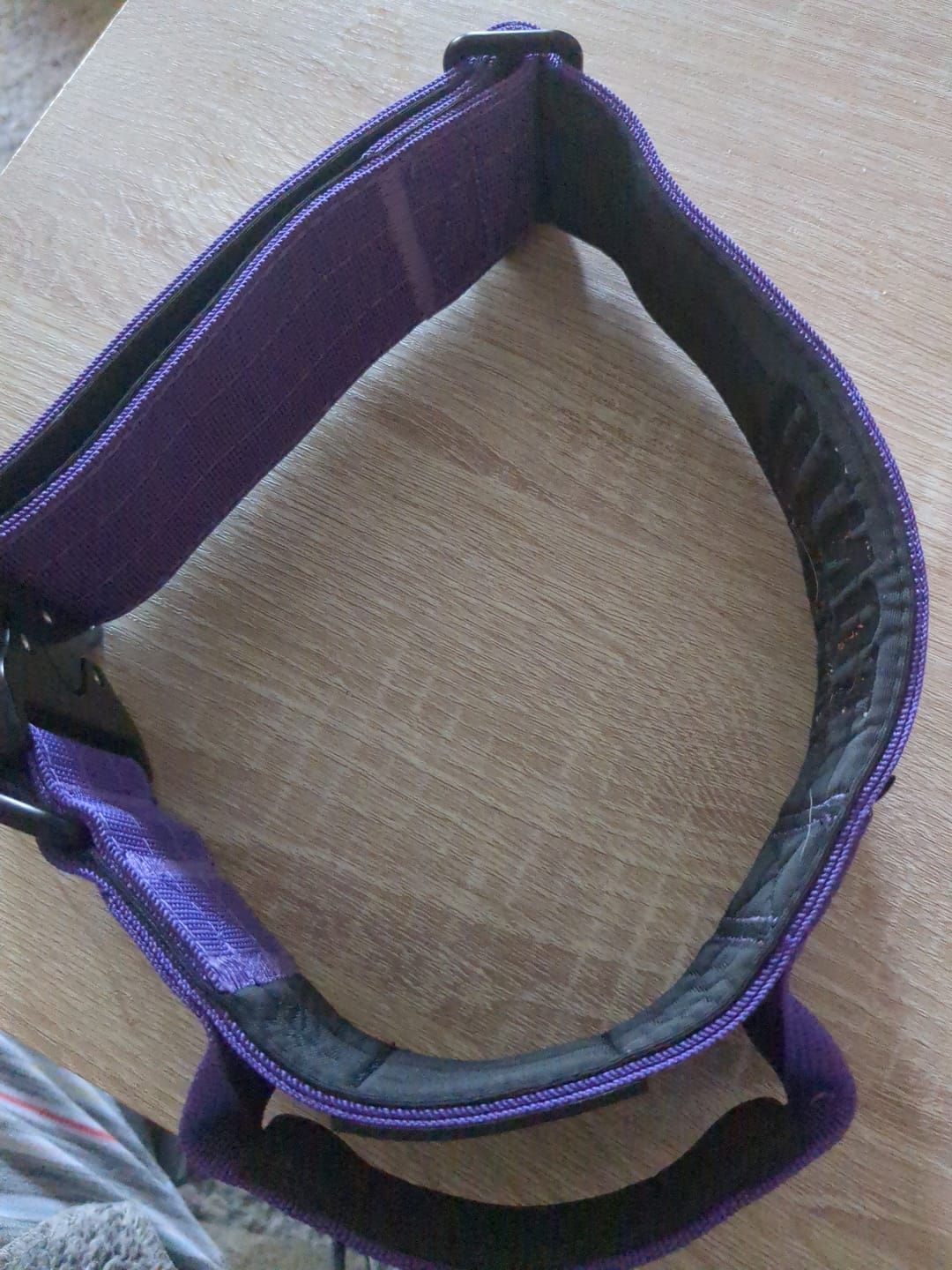 Customer photo review of Purple Bully Proof Collar
