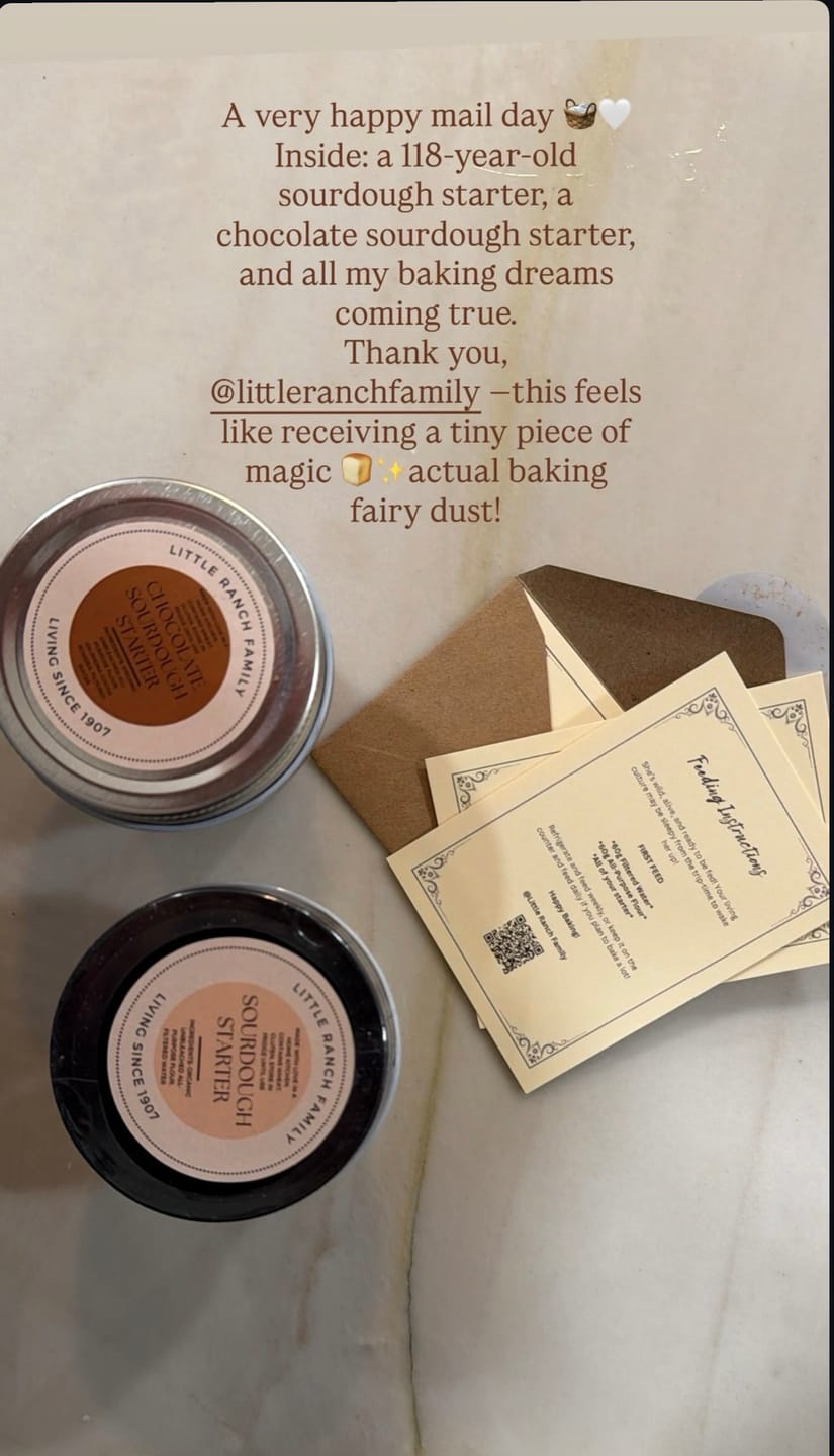 Customer photo review of Live 118 Year Old Valrhona CHOCOLATE Sourdough Starter Includes Maintenance PDF & Chocolate Noir Loaf Recipe