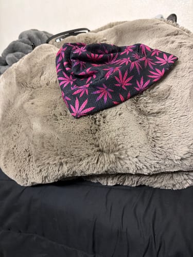 Customer's black beanie with a vibrant purple marijuana leaf pattern shown on a fluffy blanket.
