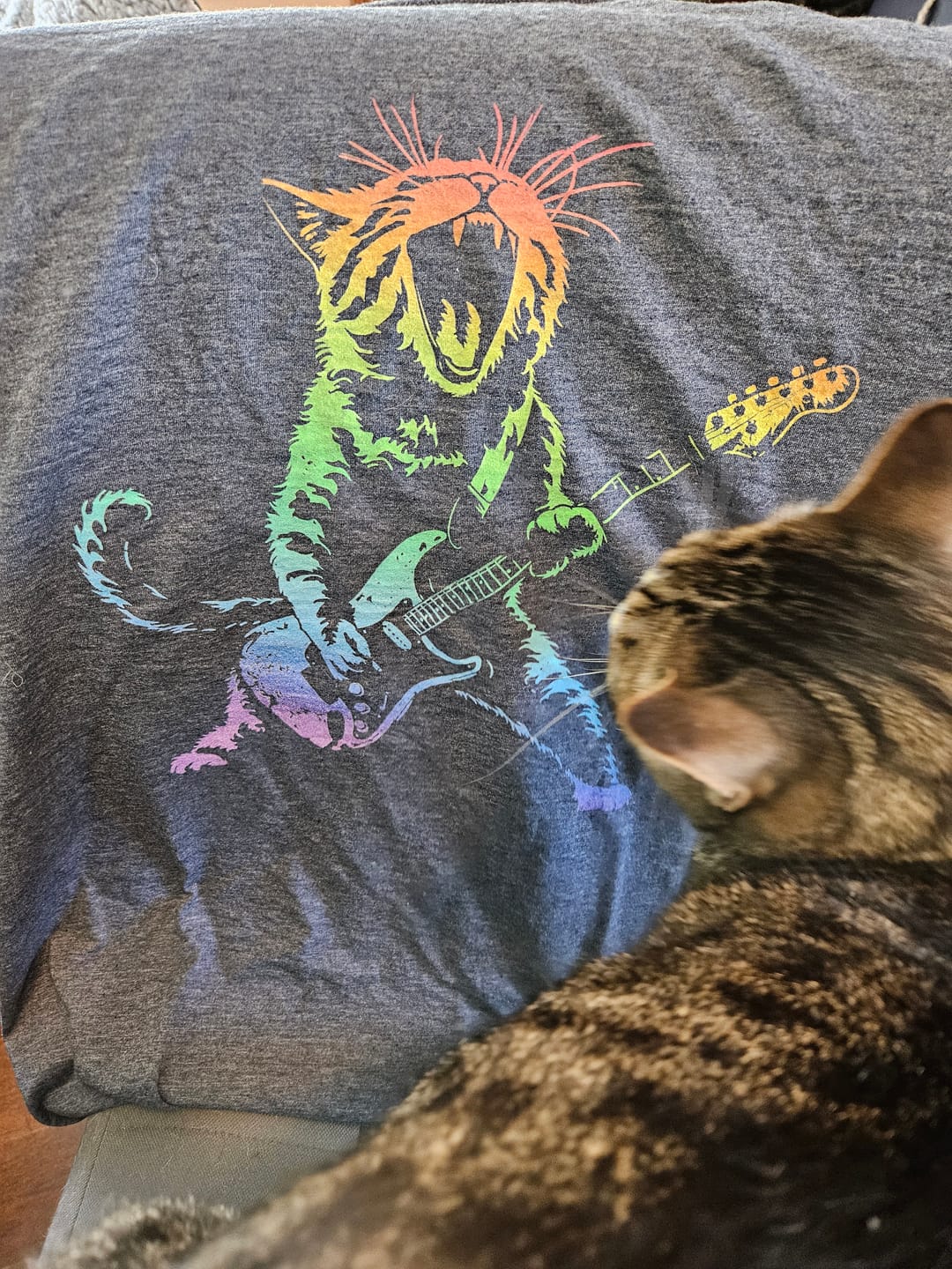 Customer photo review of Rock Rainbow T-Shirt
