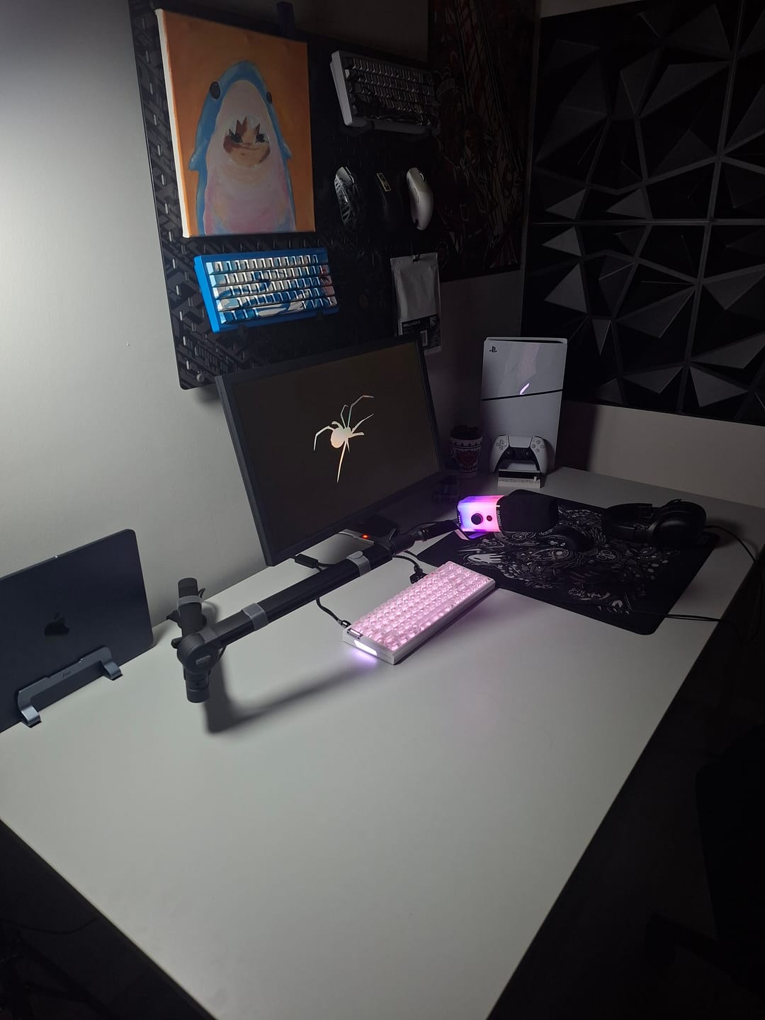 Customer photo review of Maono PD100X Dinamik Mikrofon