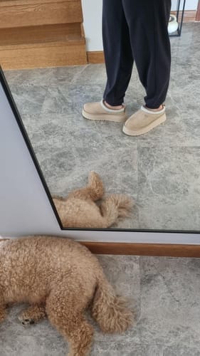 Customer photo review of UGG Women's Tazz II Sand
