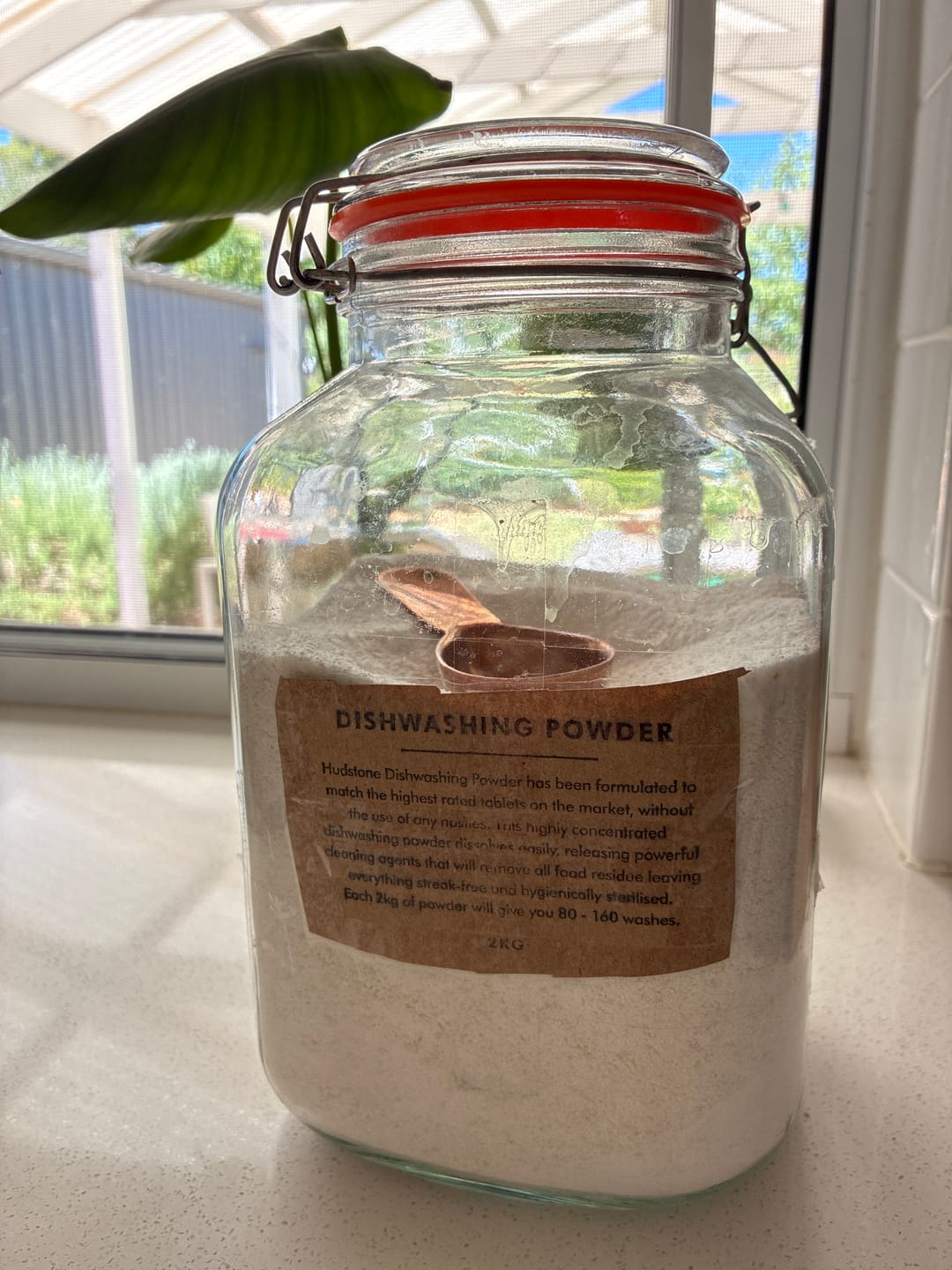 Customer photo review of Dishwashing Powder