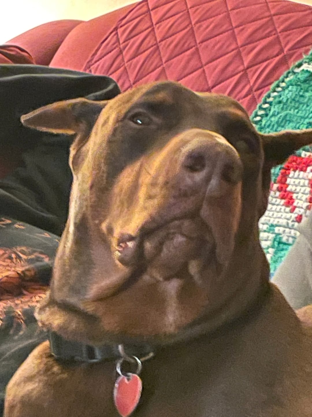 Customer photo review of Small Bully Stick Ring