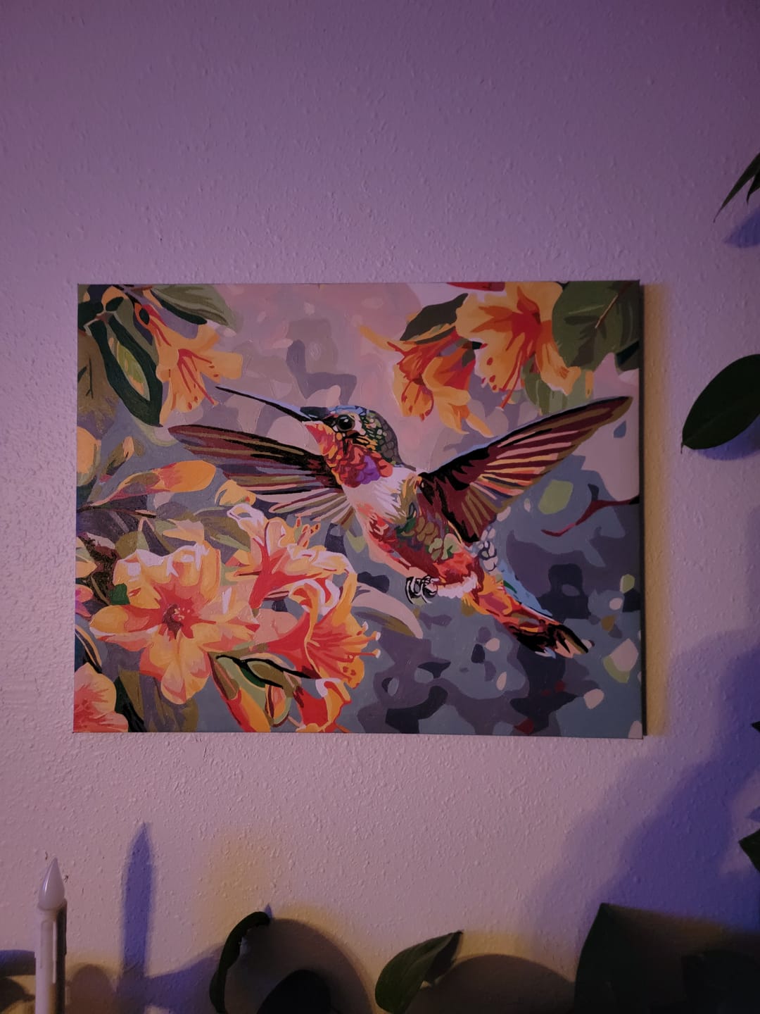 Customer photo review of Hummingbirds Dance