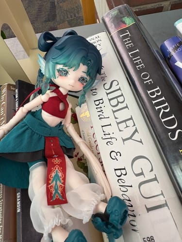 Customer's Luluya action figure with blue-green hair sitting on a shelf, leaning against a stack of large books.