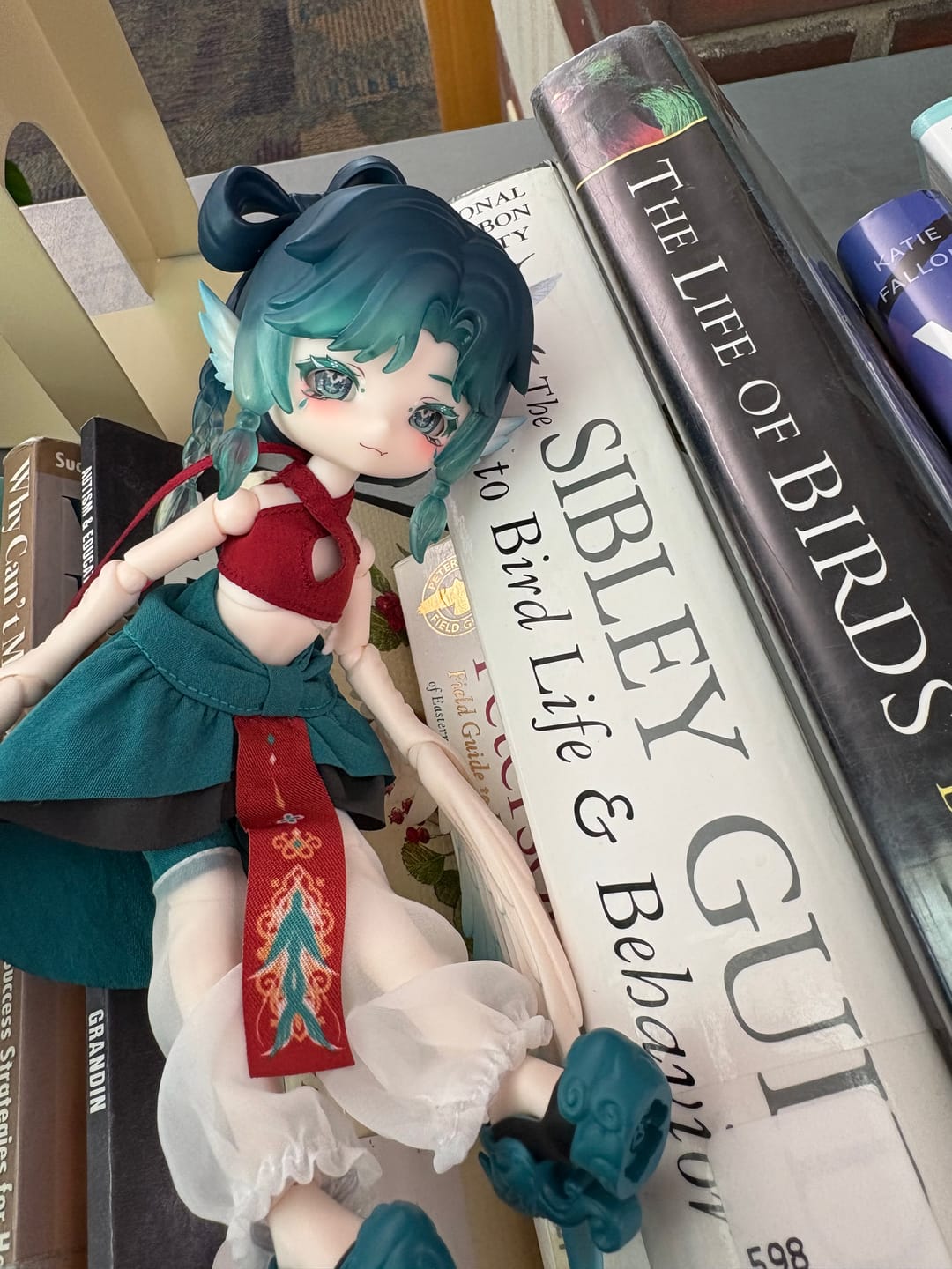 Customer photo review of Luluya Cloud Feather Pavilion Series Action Figure BJD Blind Box