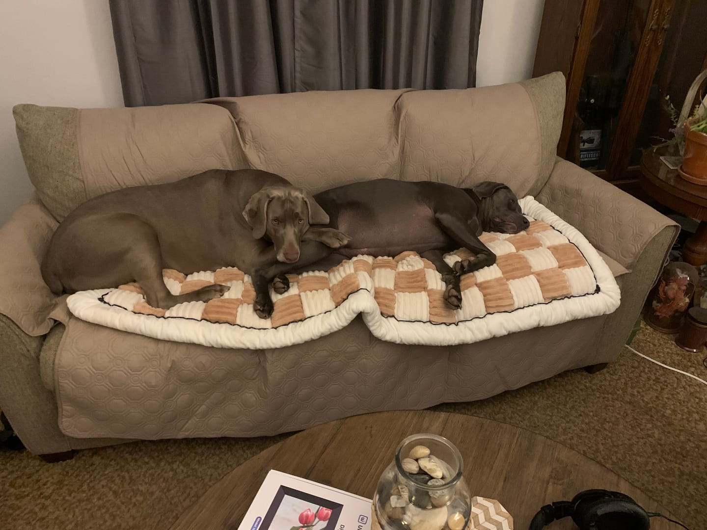 Customer photo review of NEW 2-in-1 Furniture Protector & Dog Bed Couch Cover with Thick Orthopedic Padding, Non-Slip Grip, Scratch-Resistant Surface & Machine-Washable Fabric