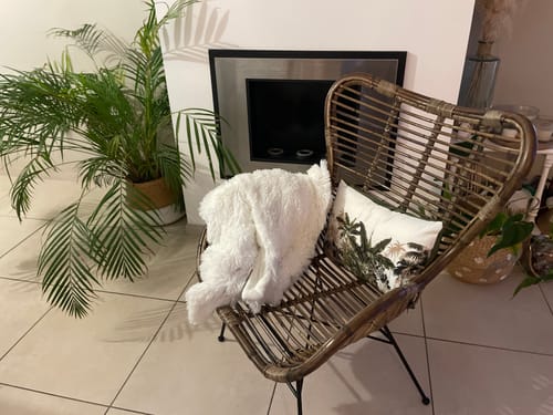 Customer photo review of JAKARTA - Fauteuil en métal et rotin naturel