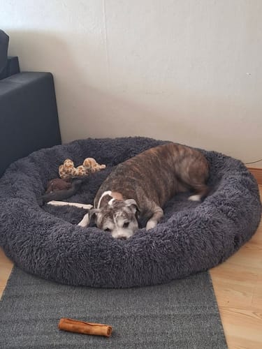 Customer photo review of CalmBed - Motverkar stress & hjälper mot ångest