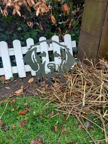 Customer photo review of Gartenstecker Berner Sennenhund Portrait