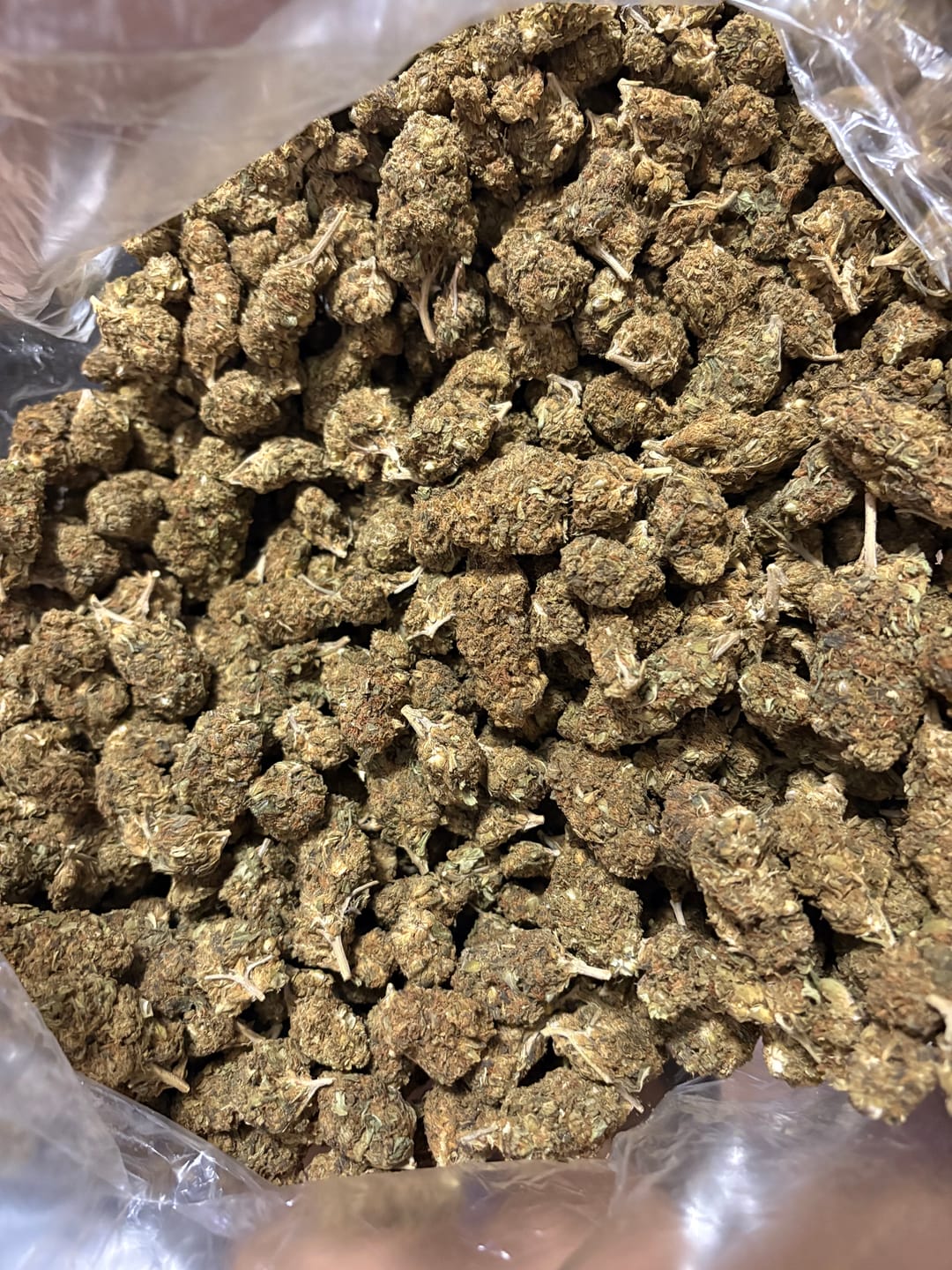 Customer photo review of Wedding Crasher THCA Flower LB