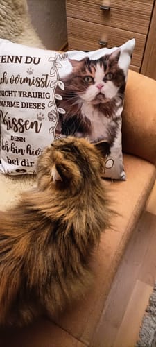 Customer photo review of Seelentröster - Individuelles Kissen