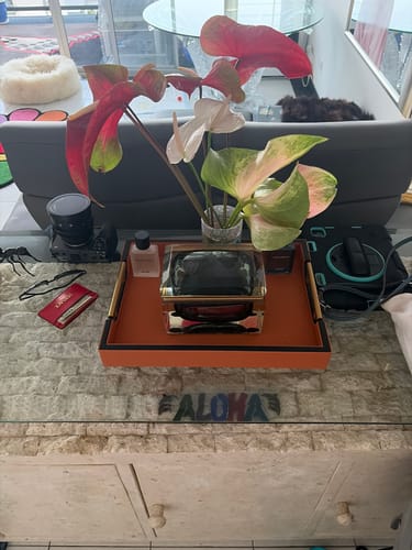 Customer photo review of HERMES LEATHER SERVING TRAY