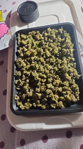 Customer photo review of Candy Runtz - 28 Grams - Littles