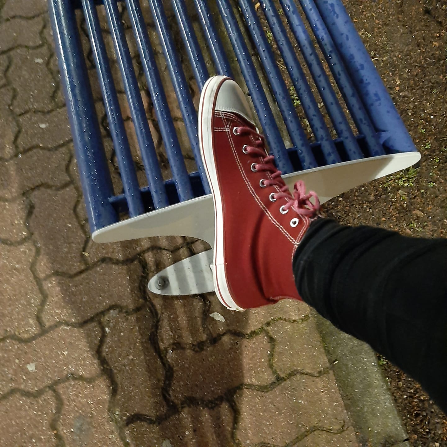 Customer photo review of Roam I - Barfußschuhe