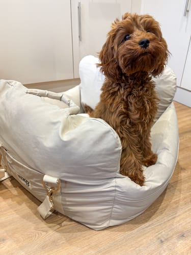 Customer photo review of Marshmallow | The Puffer Car Seat